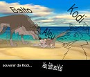 souvenir de Kodi