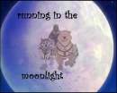 moonlight