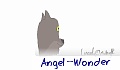 Angel_Wonder