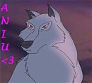 Aniu