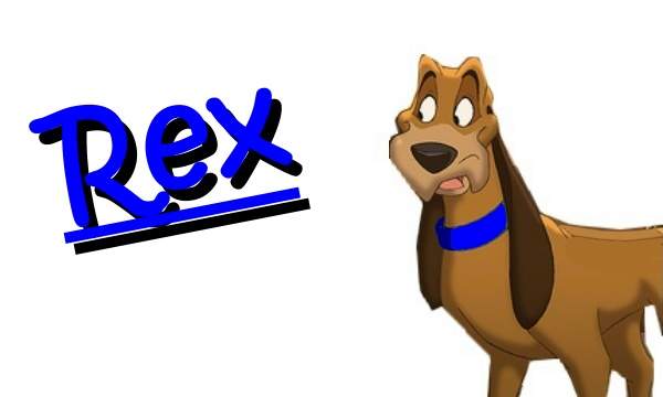 Rex(C)DragonTamer