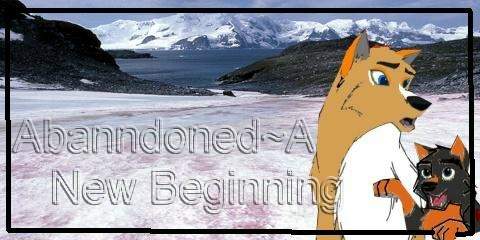 Abanndoned~A New Beginning