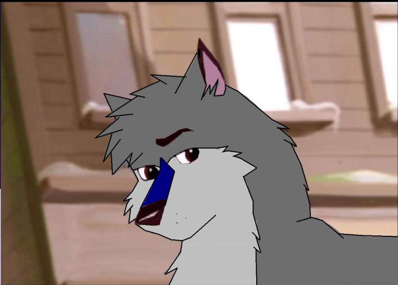 Cody