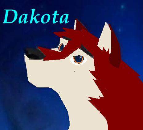 my-DAKOTA avvie
