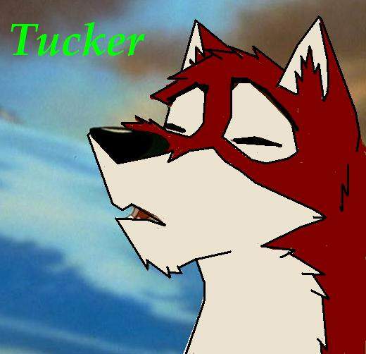 Tucker