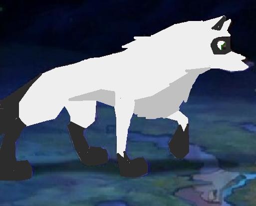 Shasta