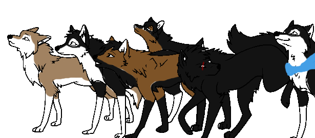 Aleu's Family