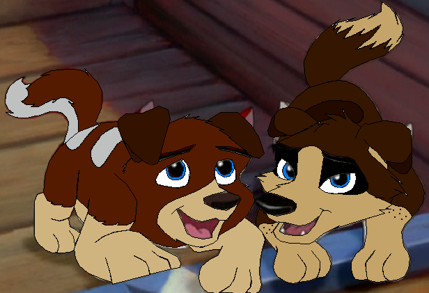 Just Sibs