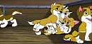 Teh Puppies! 