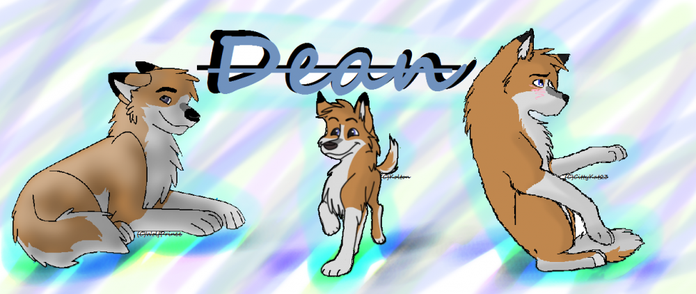 Dean Signature