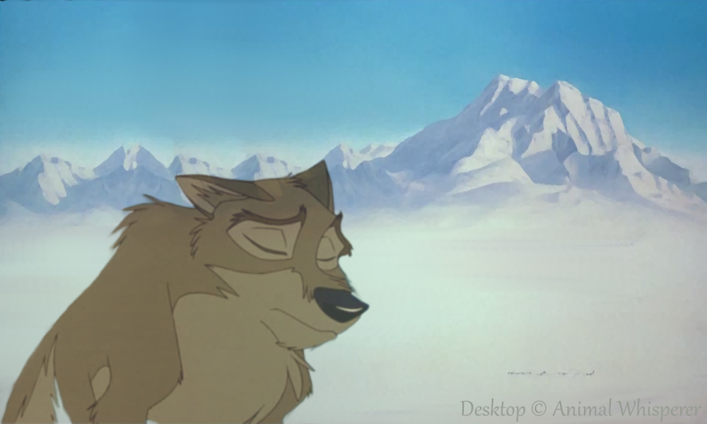 Hopeless - Balto Desktop