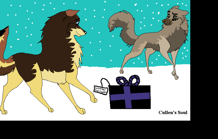 A Gift For One Paw!!