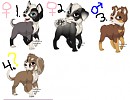 Random Adoptables!!!!!