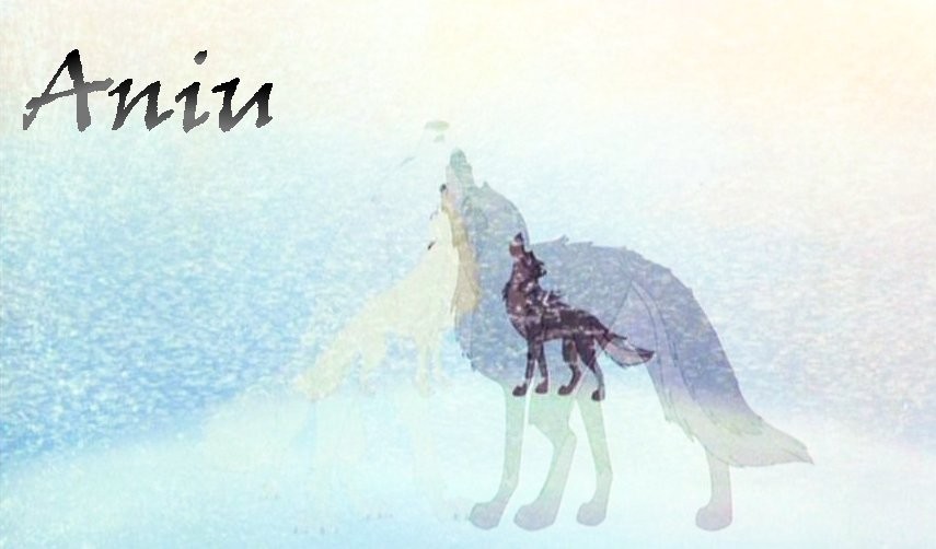 Aniu