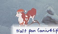 Halt fan (aniu4life)