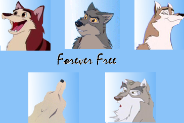 wolves are forever free