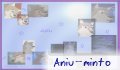 aniu_minto