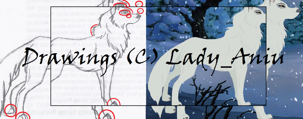 Aniu:: Drawing / Digital Comparison:: TEASER