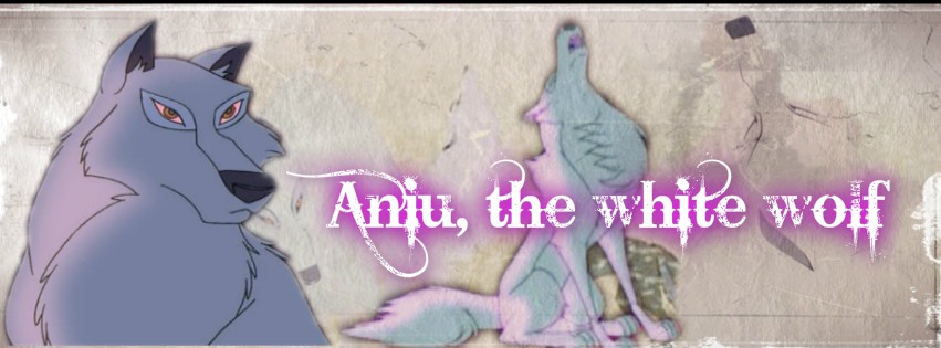 Aniu's banner