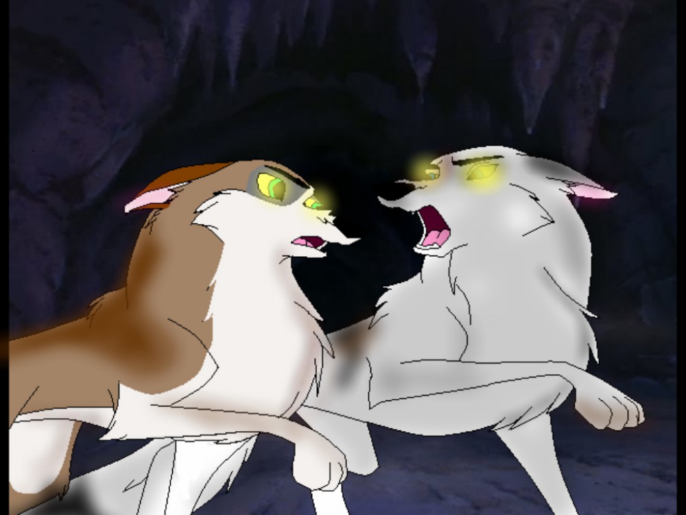 The last fight