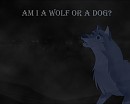 Is Aleu A Dog Or A Wolf?