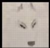 White Wolf Howling