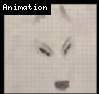 White Wolf Howling
