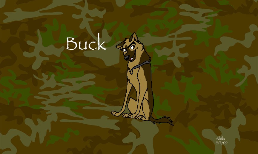 Buck