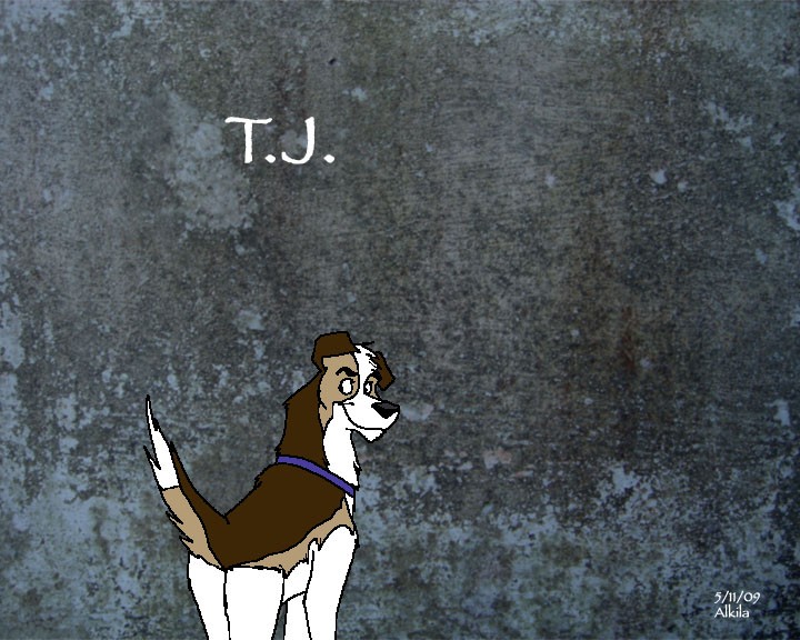 T.J.