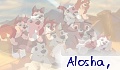 alosha,