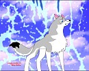 Akidaboo[: