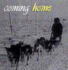 Coming Home (sled dog 3)
