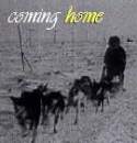 Coming Home (sled dog 3)