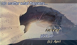 Never Give Up