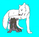 Balto And Aniu