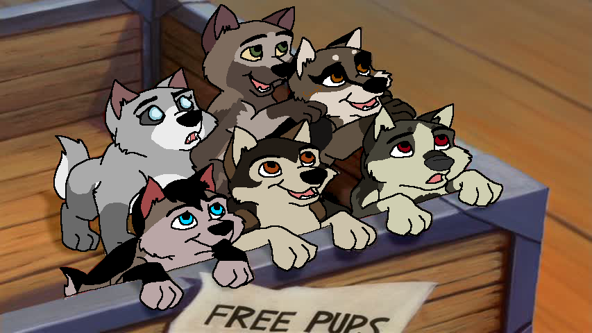 My pups!