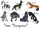  Conqueror  Team