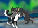 Stasha and Bob