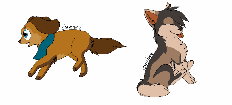 Gabby's and Drew's new designs