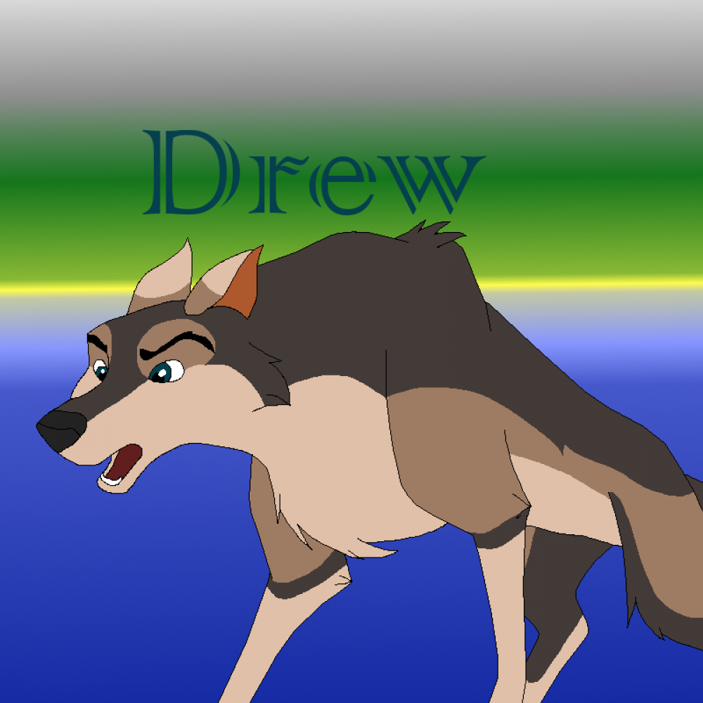 Drew Ref