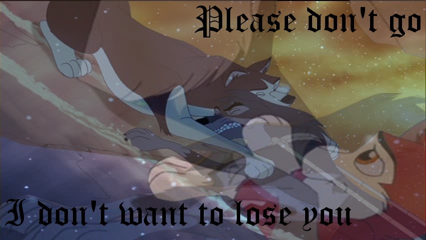 I don't want to lose you