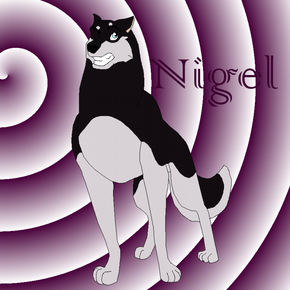 Nigel Ref