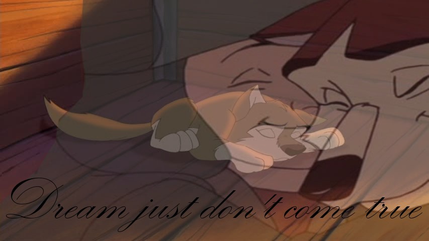Dreams just don't come true