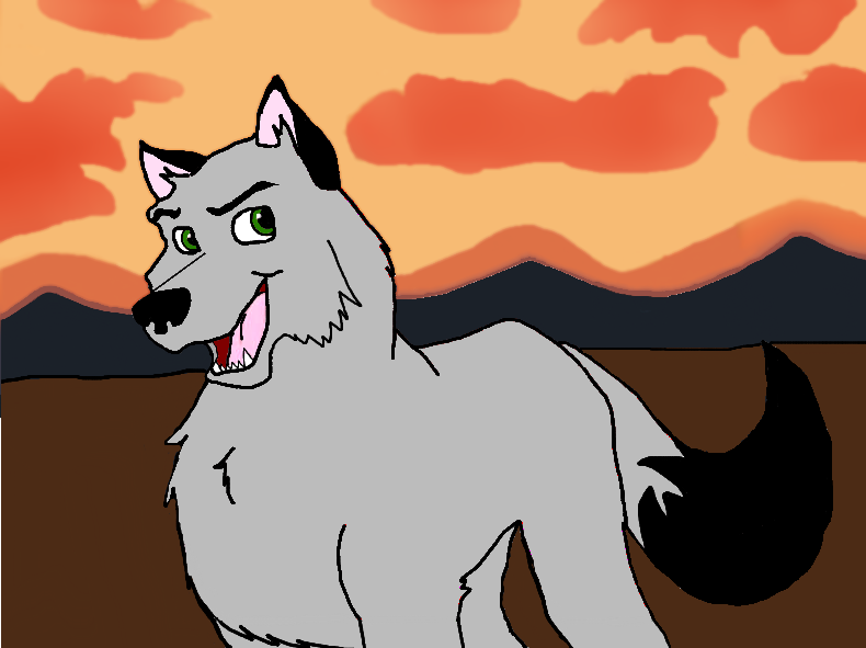 Akim in a sunset