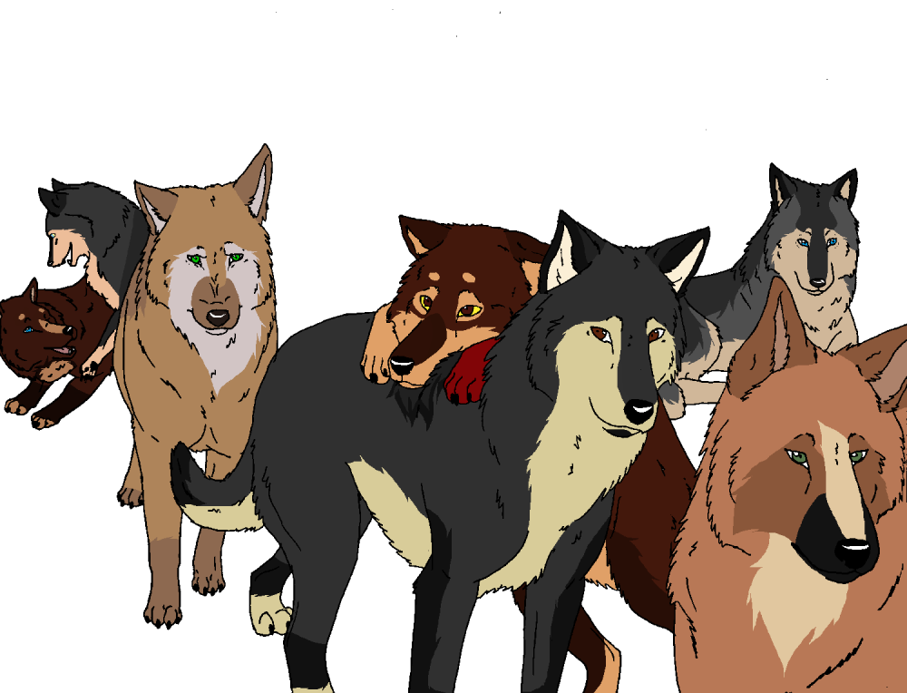 Meet the Warrior Falls pack