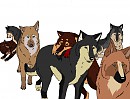 Meet the Warrior Falls pack