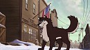 Wolfdog in the town 