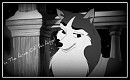 For starfire