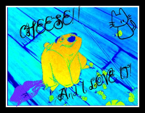CHEESE!