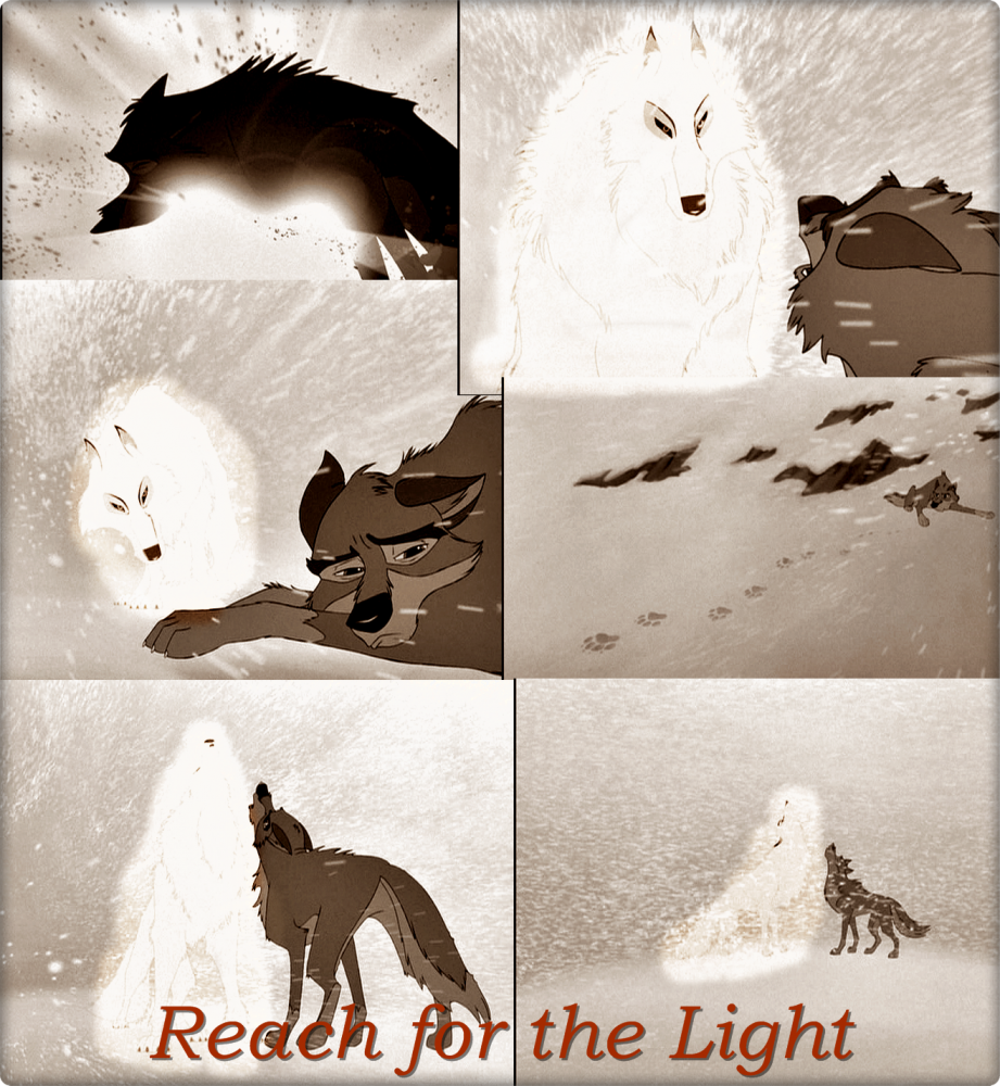 Reach for the Light